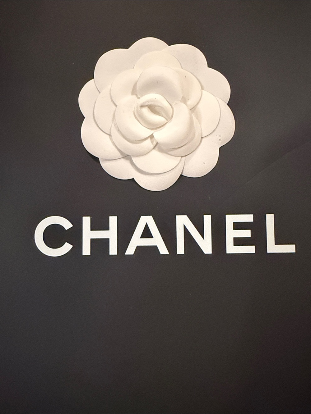 Chanel Shopping Bag View 4